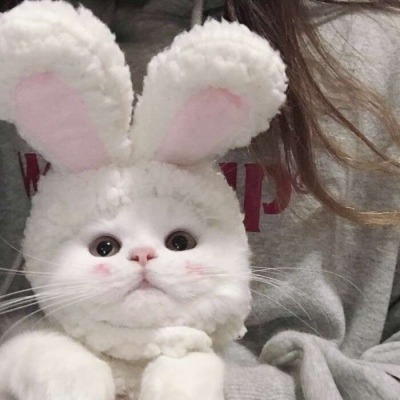 變性黑人難民素食主義者孫笑川