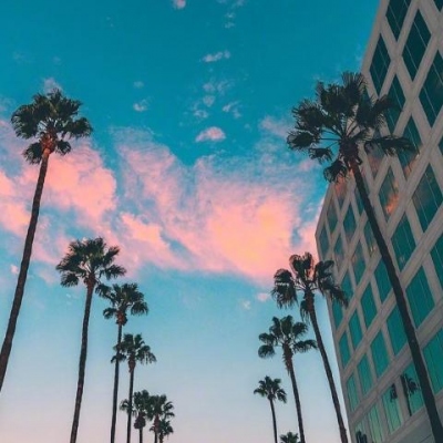 毛發(fā)醫(yī)生李丙雙